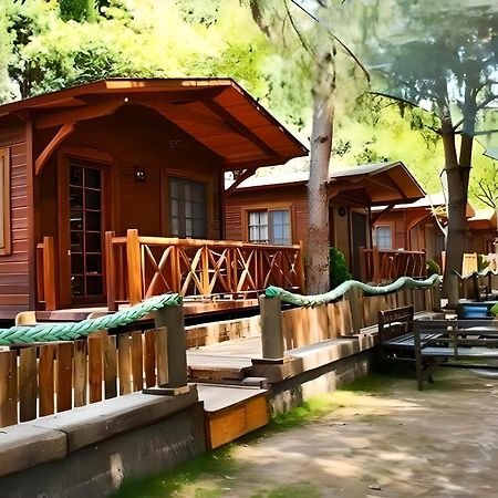 Green House Uzungol Trabzon Luaran gambar